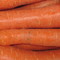 Photo: 'Orange colour 1:carrots'