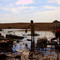 Photo: 'Gala village - oil & ecological crisis'