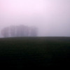 Photo: 'Foggy days'